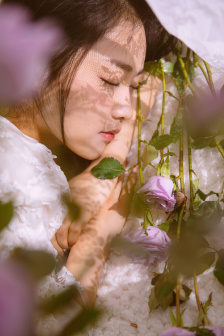 我的漂亮朋友电视剧